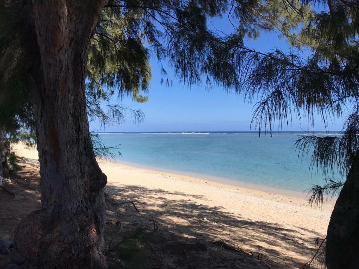Bungalows Les Charmilles لا سالين لو باين المظهر الخارجي الصورة
